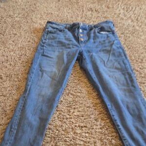 American Eagle Outfitters Denim Skinny Jeans